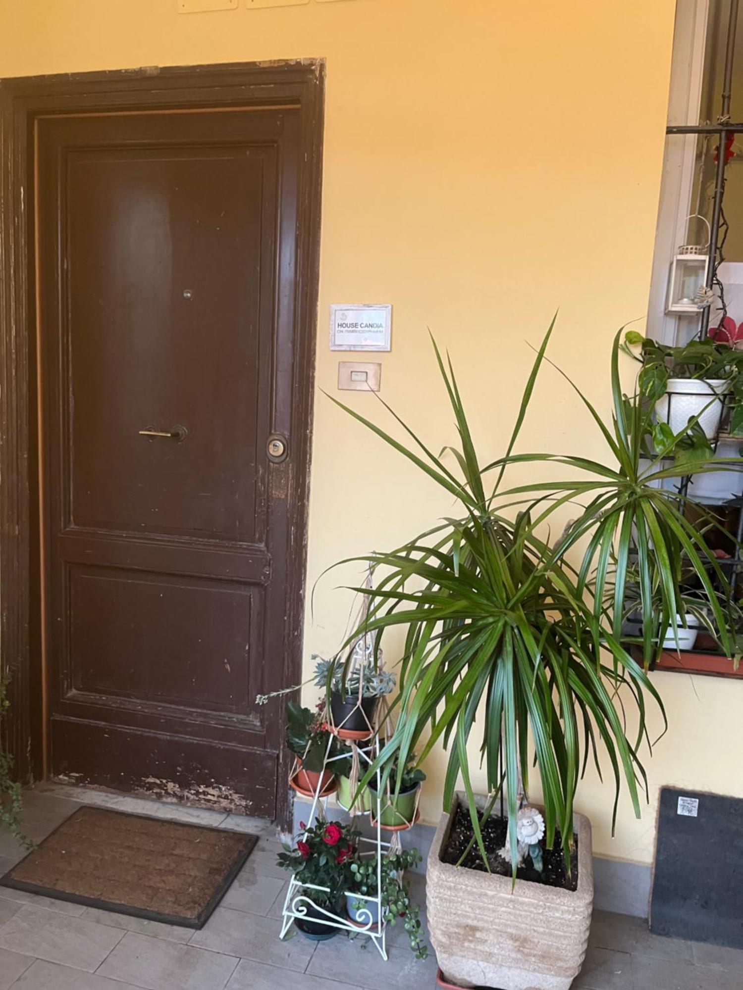 House Candia 111 - Vatican Museum Apartment ローマ エクステリア 写真